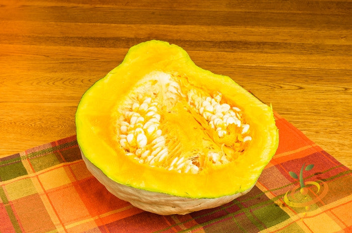 Golden Hubbard winter squash with seeds, fresh and ripe, featuring orange flesh and green-gray striped rind, SeedsNow brand.
