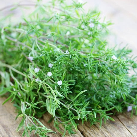 Summer Savory seeds from SeedsNow, showing small, green seed packets labeled Summer Savory for planting and gardening.