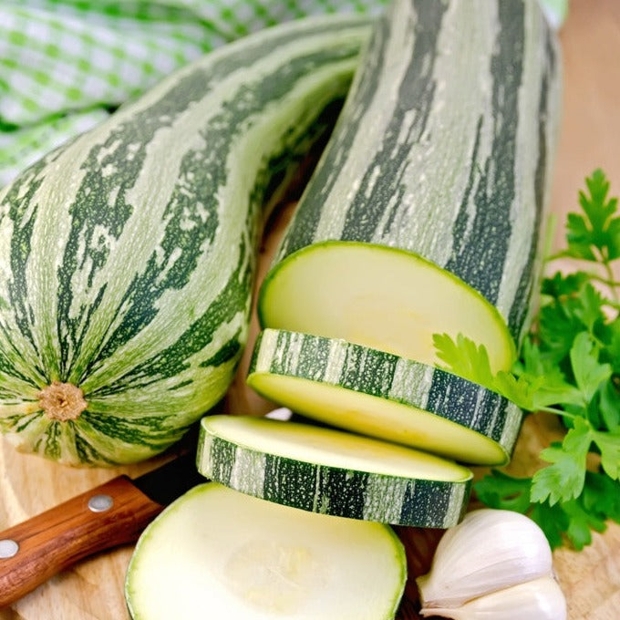 Buy fresh Caserta Summer squash seeds online from the USA now!