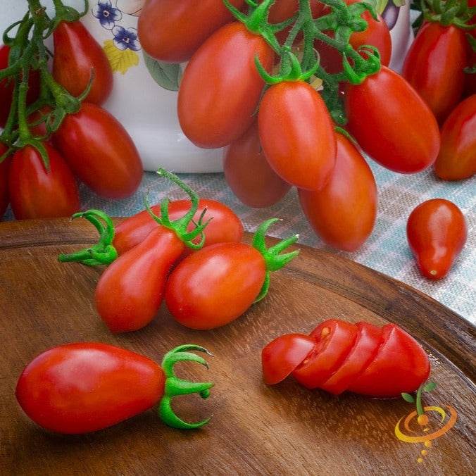 Buy Red Pear tomato seeds online in the USA | Container-friendly!
