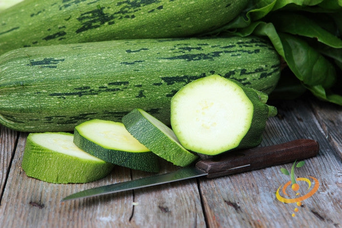 Cocozelle summer squash growing on a vine, fresh green zucchinis with dark stripes, from SeedsNow squash seed packet.