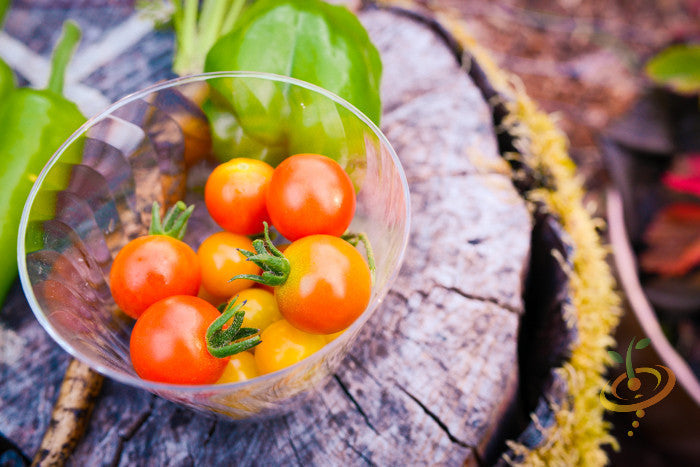Red cherry tomato seeds from SeedsNow, small indeterminate tomato variety, shown in a close-up image.