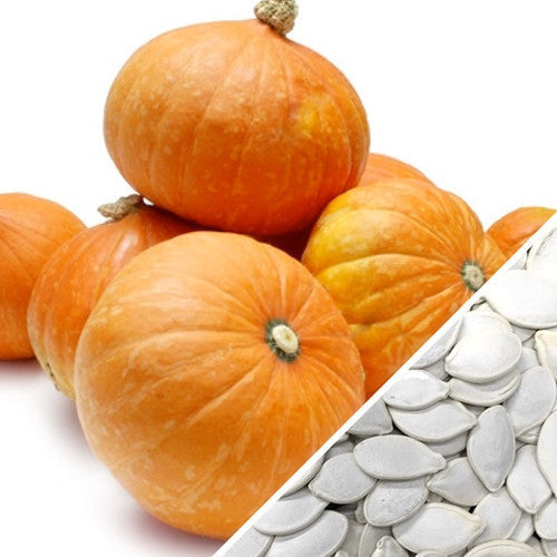 Buy fresh Gold Nugget Winter Squash seeds online from the USA now!