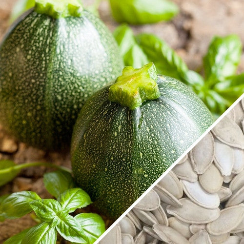 Buy Round de Nice Summer Squash Zucchini seeds online from USA now!