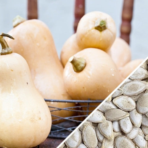 Butternut winter squash and seeds with tan skin and deep orange interior displayed in a basket