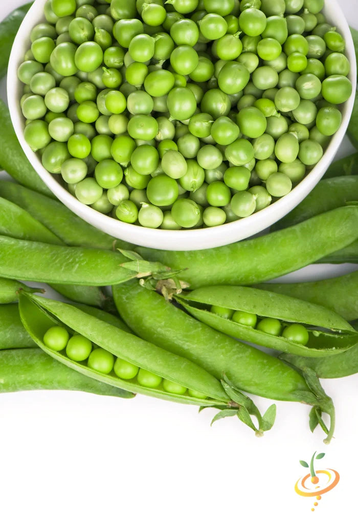 Green Arrow pea seeds from SeedsNow, showing vibrant green pea pods and fresh pea seeds ready for planting.