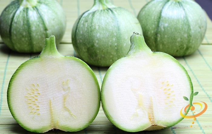 Round de Nice zucchini squash from SeedsNow, fresh summer squash with green skin and round shape, ready for harvest.