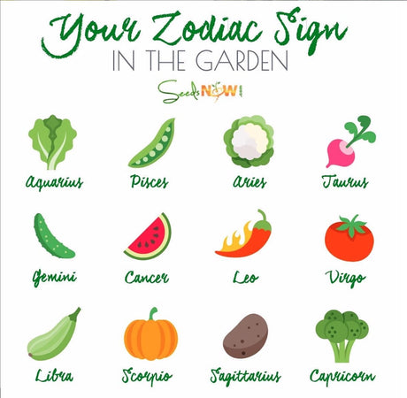 IN THE GARDEN ZODIAC SIGNS ...... 🤣