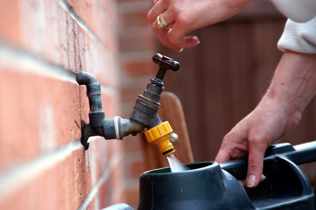 5 Fantastic Tips for Watering Your Container Garden