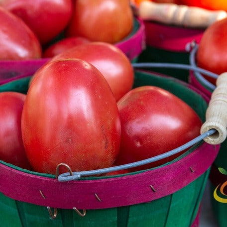 Tomato - Roma (Determinate) - SeedsNow.com