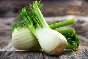 Fennel.