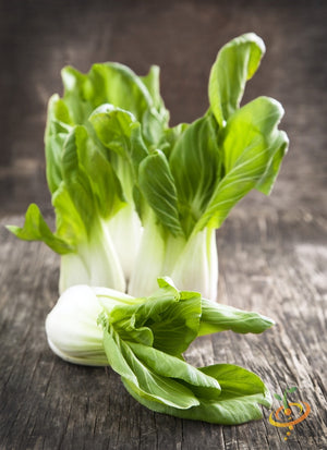 Cabbage - Bok Choy (Pac Choi).