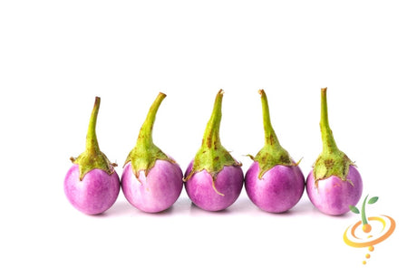 Round mauve heirloom eggplants with green stems, white background, Eggplant (Aubergine) seeds