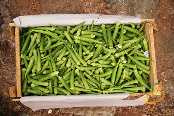 Okra - Clemson Spineless.