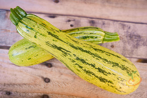 Squash (Summer) - Caserta.